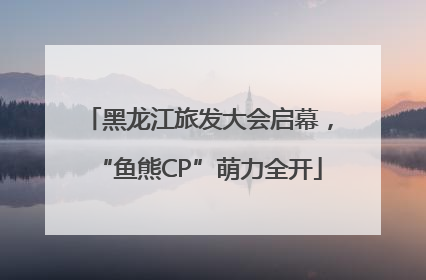 黑龙江旅发大会启幕，“鱼熊CP”萌力全开