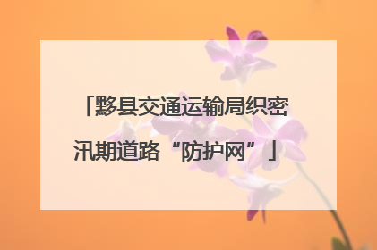 黟县交通运输局织密汛期道路“防护网”
