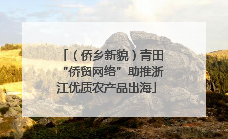 （侨乡新貌）青田“侨贸网络”助推浙江优质农产品出海