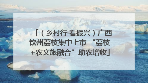 （乡村行·看振兴）广西钦州荔枝集中上市 “荔枝+农文旅融合”助农增收