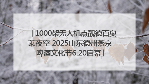 1000架无人机点靓德百奥莱夜空 2025山东德州燕京啤酒文化节6.20启幕