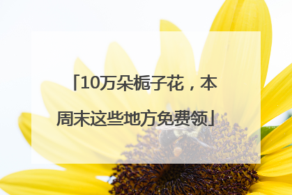 10万朵栀子花，本周末这些地方免费领