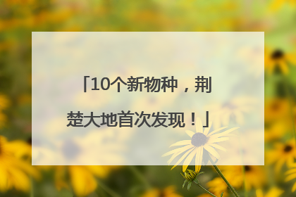 10个新物种，荆楚大地首次发现！