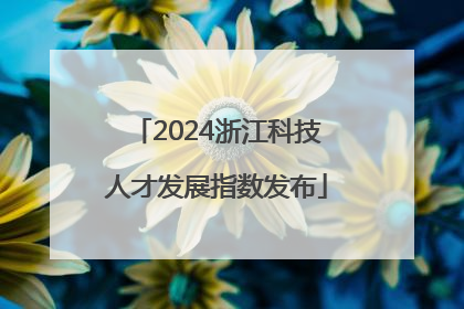 2024浙江科技人才发展指数发布