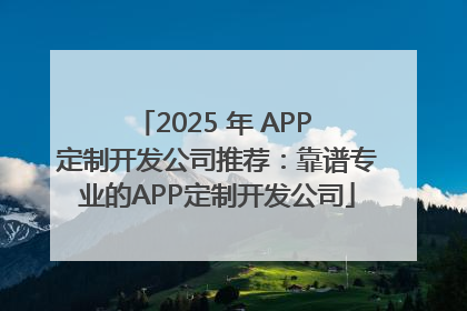2025 年 APP 定制开发公司推荐：靠谱专业的APP定制开发公司