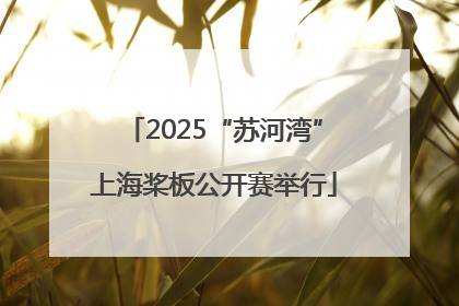 2025“苏河湾”上海桨板公开赛举行