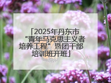 2025年丹东市“青年马克思主义者培养工程”暨团干部培训班开班