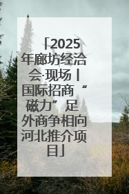 2025年廊坊经洽会·现场丨国际招商“磁力”足 外商争相向河北推介项目