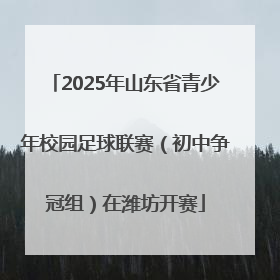 2025年山东省青少年校园足球联赛（初中争冠组）在潍坊开赛