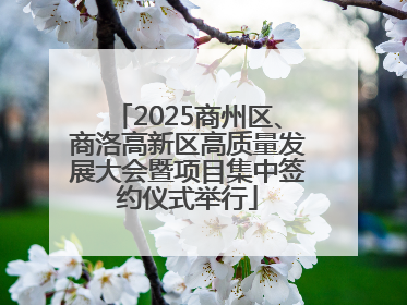 2025商州区、商洛高新区高质量发展大会暨项目集中签约仪式举行