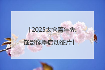 2025太仓青年先锋影像季启动征片