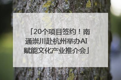 20个项目签约！南通崇川赴杭州举办AI赋能文化产业推介会