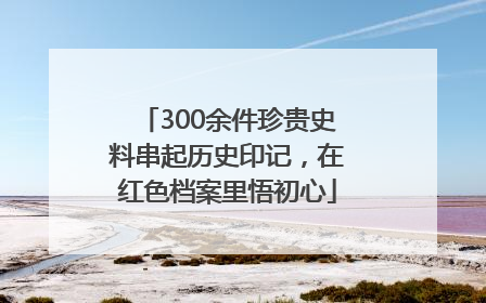 300余件珍贵史料串起历史印记，在红色档案里悟初心