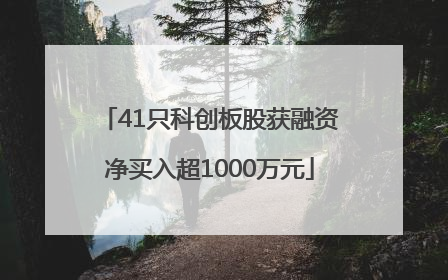 41只科创板股获融资净买入超1000万元