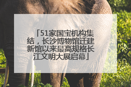 51家国宝机构集结，长沙博物馆迁建新馆以来最高规格长江文明大展启幕