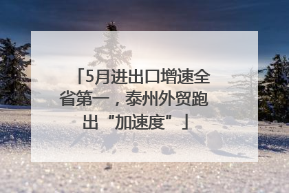 5月进出口增速全省第一，泰州外贸跑出“加速度”