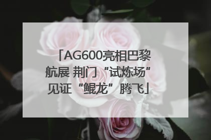 AG600亮相巴黎航展 荆门“试炼场”见证“鲲龙”腾飞