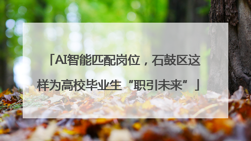 AI智能匹配岗位，石鼓区这样为高校毕业生“职引未来”